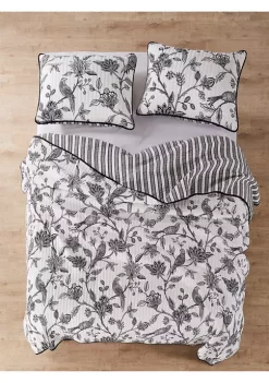 Cheapest 🛒 Levtex Tanzie Black Quilt Set 🔔 11 Cheapest 🛒 Levtex Tanzie Black Quilt Set 🔔 -Cheap Levtex Store Belk 1476