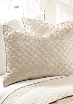 Discount ✨ Levtex Home Champagne Velvet Euro Sham set ✨