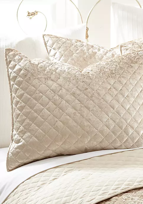 Discount ✨ Levtex Home Champagne Velvet Euro Sham set ✨ 5 Discount ✨ Levtex Home Champagne Velvet Euro Sham set ✨ - Image 3