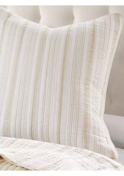 Best reviews of 🎁 Levtex Camden Taupe Euro Sham Set of 2 ✔️ 4 Best reviews of 🎁 Levtex Camden Taupe Euro Sham Set of 2 ✔️ - Image 2