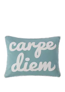 Best deal 😀 Levtex Home Tania Carpe Diem Pillow ⭐ -Cheap Levtex Store Belk 3799