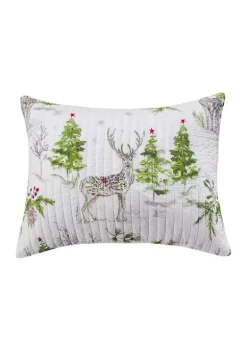 Budget 🤩 Levtex Home Comet & Cupid Standard Sham 🤩