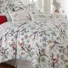 Best deal 🌟 Levtex Holly Quilt Set 🥰 -Cheap Levtex Store Belk 429